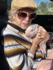 old woman holding a piglet