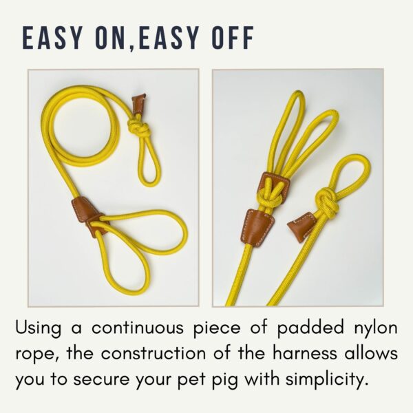 adjustable harness for pigs