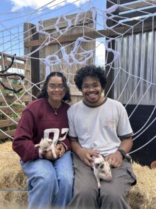 San Antonio pig petting zoo family fall pumpkin patch event