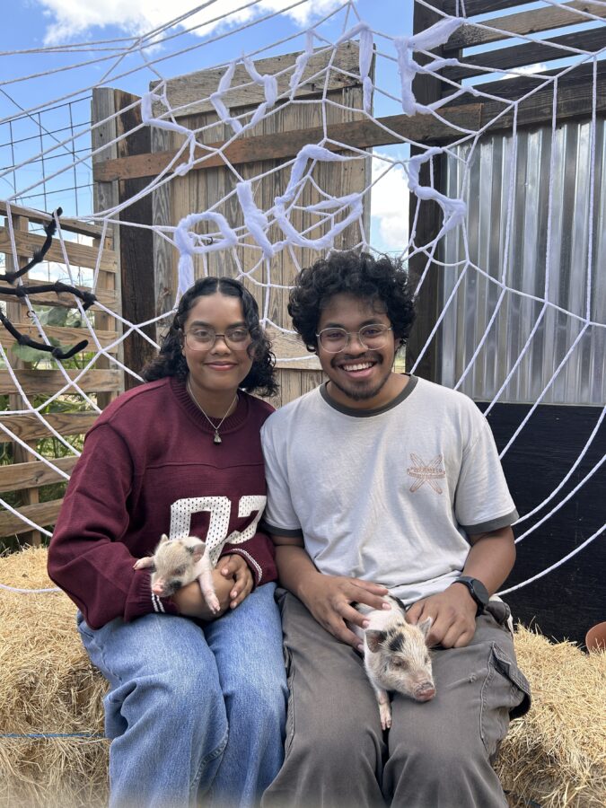 San Antonio pig petting zoo family fall pumpkin patch event