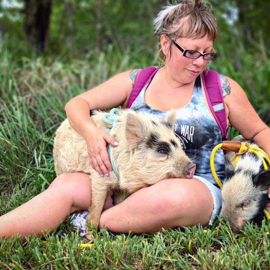 kunekune pet pig snuggling while out on a hiking adventure