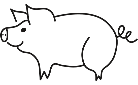 mini pet pig