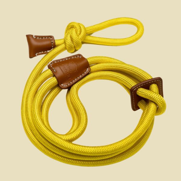 small mini pig harness and leash