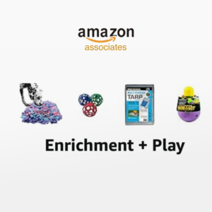 enrichment for pet pigs