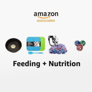 what to feed your pet pig