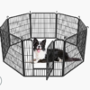 New Piglet Essentials