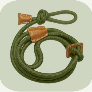 pet pig harness and supplies