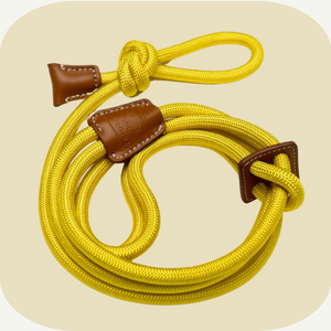 Mini Pig Harness and Leash
