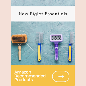 New Piglet Essential Products