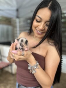 Pig Petting Zoo in San Antonio, Texas