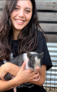 mini pig for sale in Texas