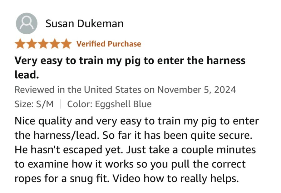 Amazon reviews for PORCINE mini pig harness and leash