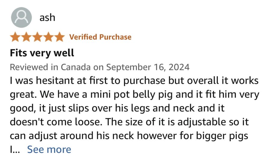 Amazon reviews for PORCINE mini pig harness and leash