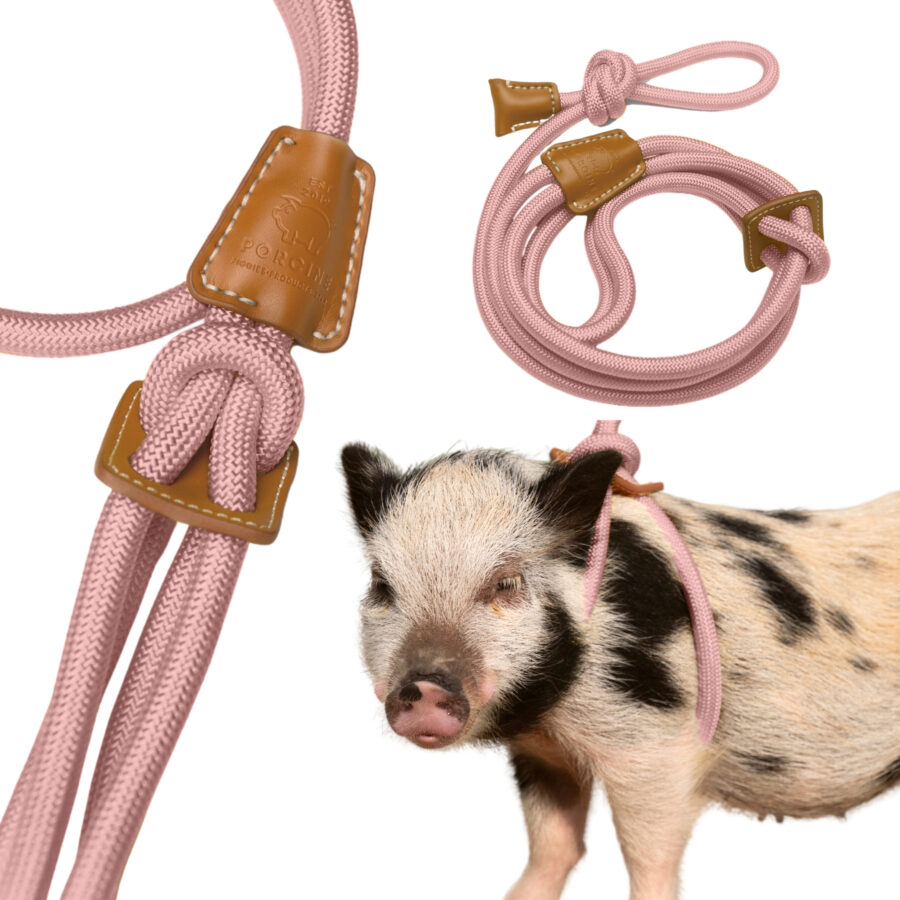 Pink harness for mini pet pigs for sale
